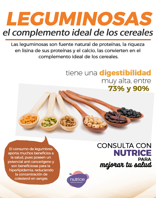 Tip nutricional Nutrice 011