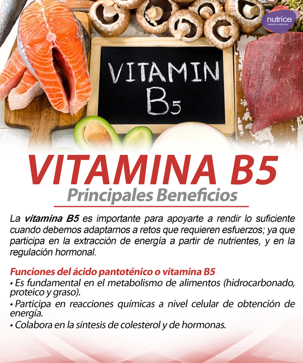 Tip nutricional Nutrice 052