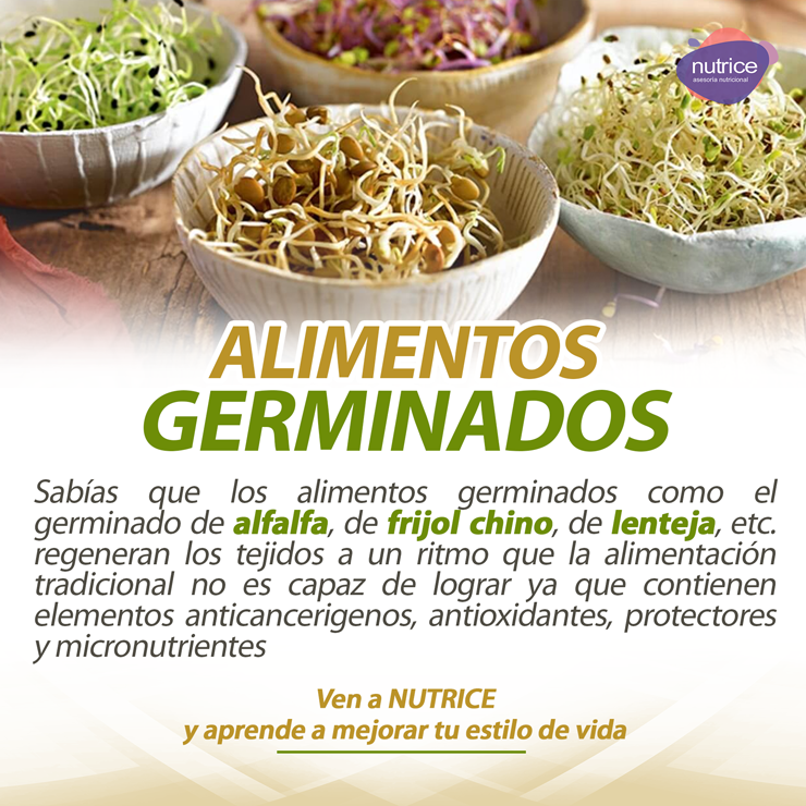Tip nutricional Nutrice 097