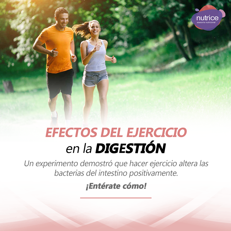 Tip nutricional Nutrice 124