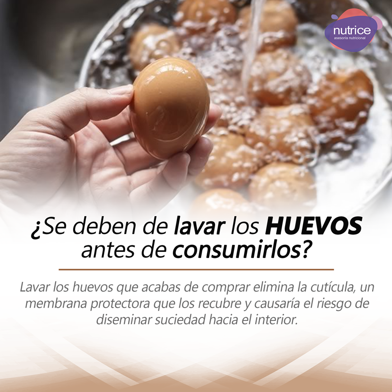 Tip nutricional Nutrice 131