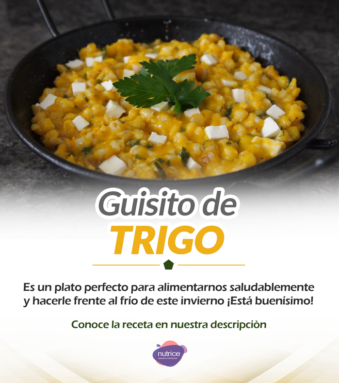 Tip nutricional Nutrice 137