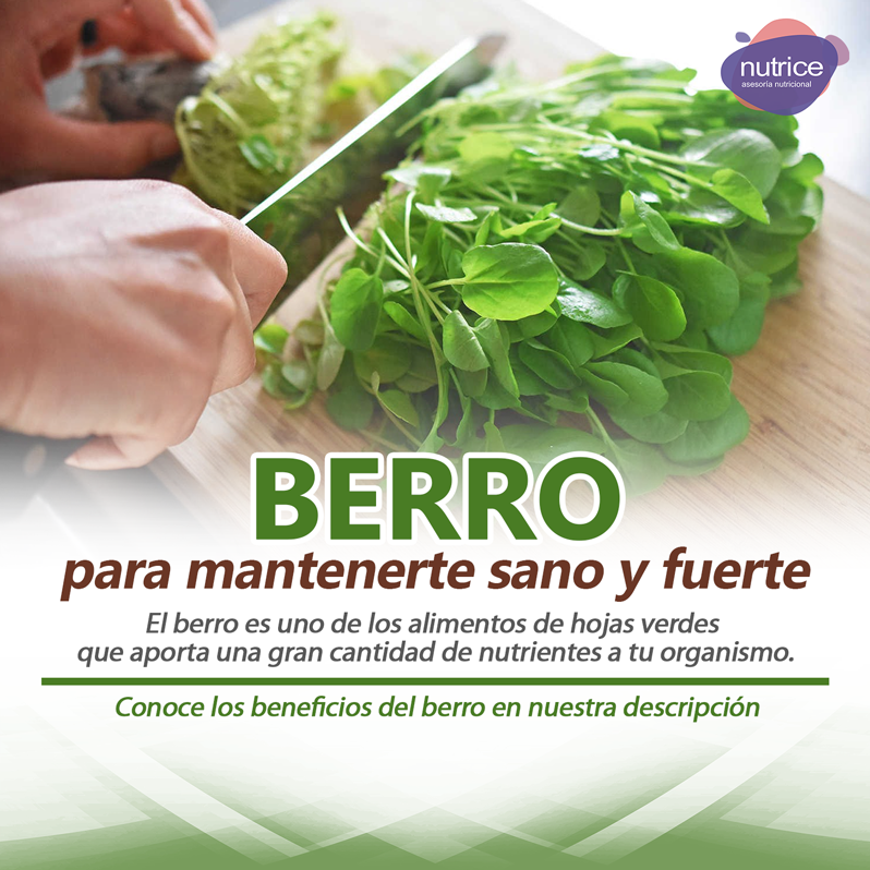 Tip nutricional Nutrice 146