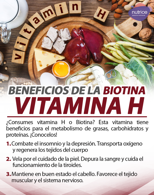 Tip nutricional Nutrice 162