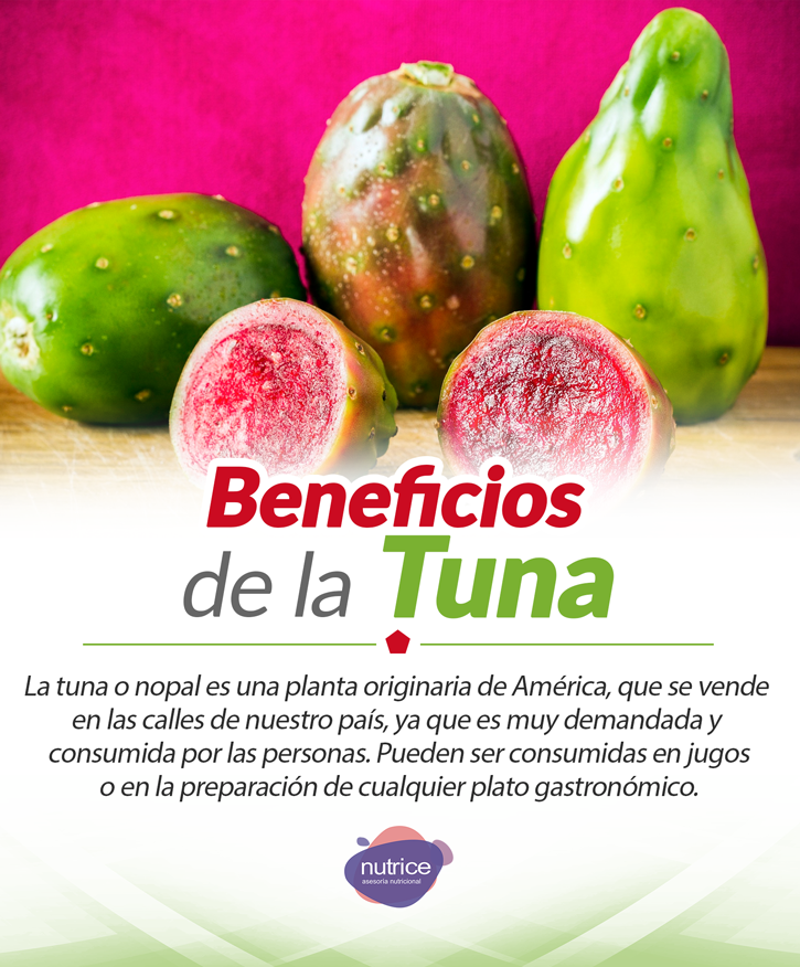 Tip nutricional Nutrice 178