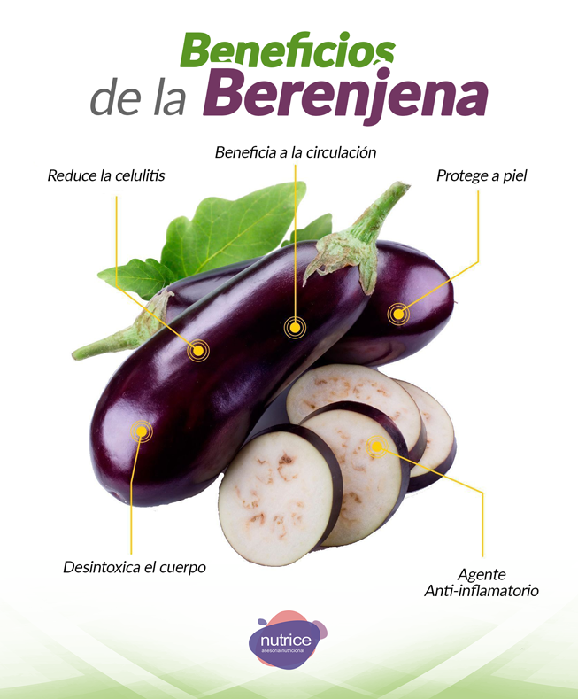 Tip nutricional Nutrice 213